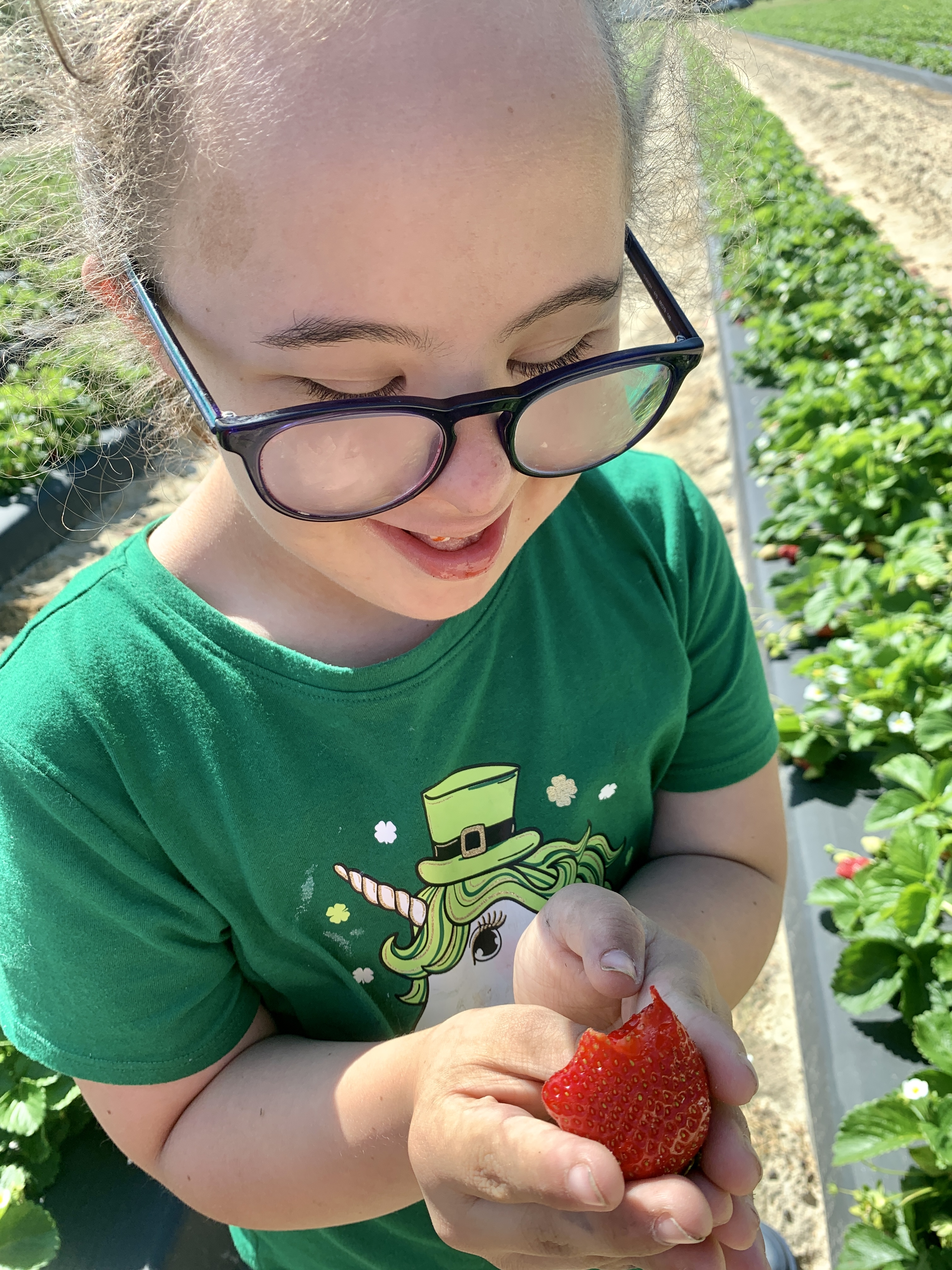 Strawberries